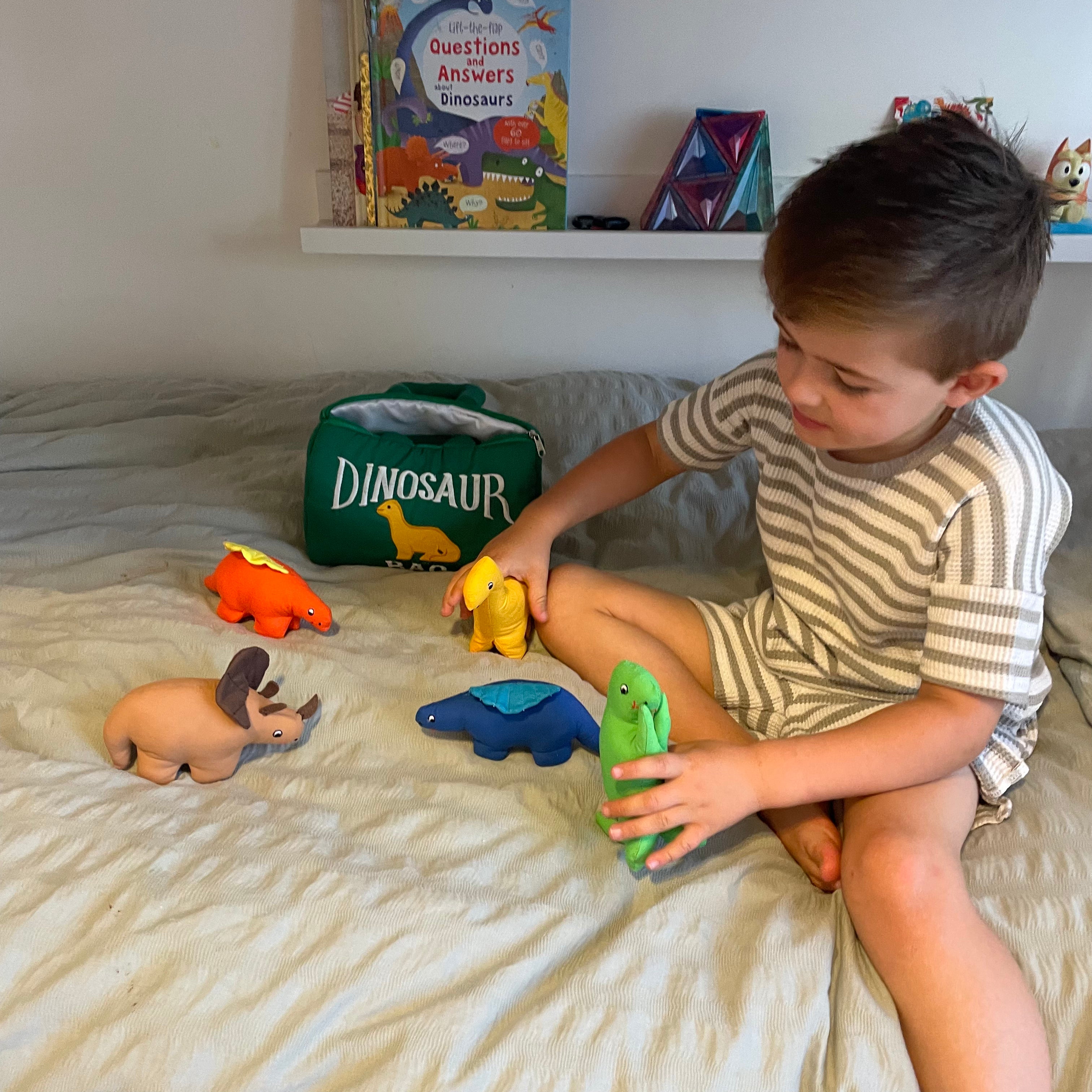 Dinosaur lovers cloth portable play bag